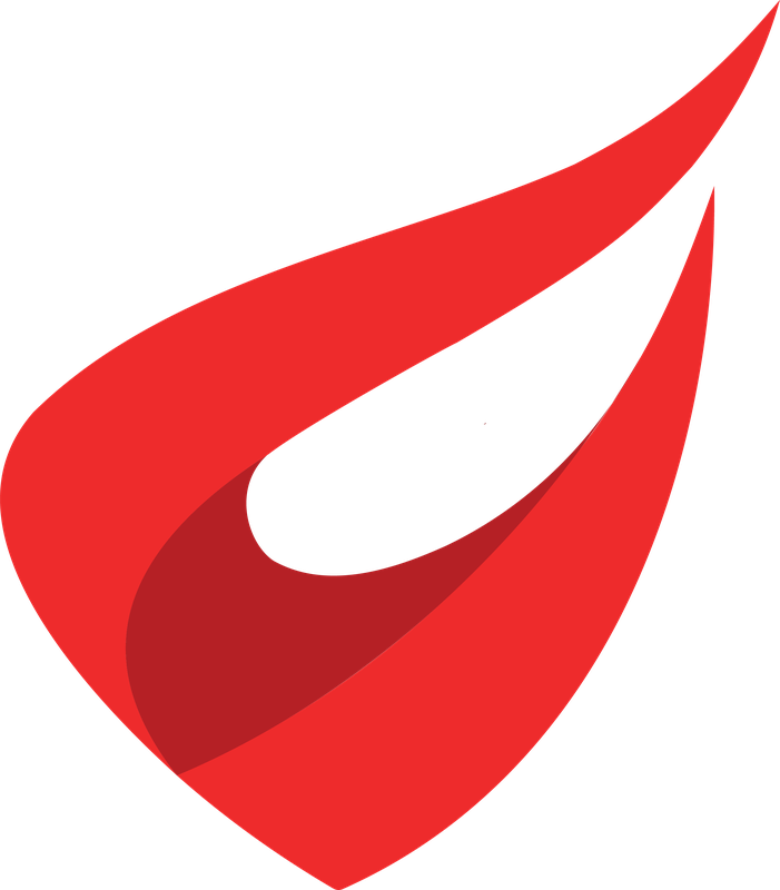 LLM Pirate emblem